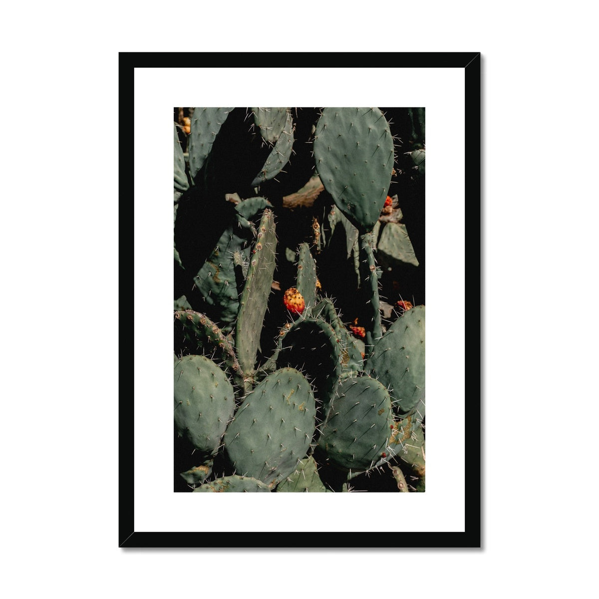 Prickle Pear