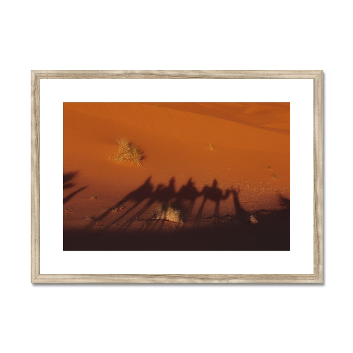 Desert Camel Caravan