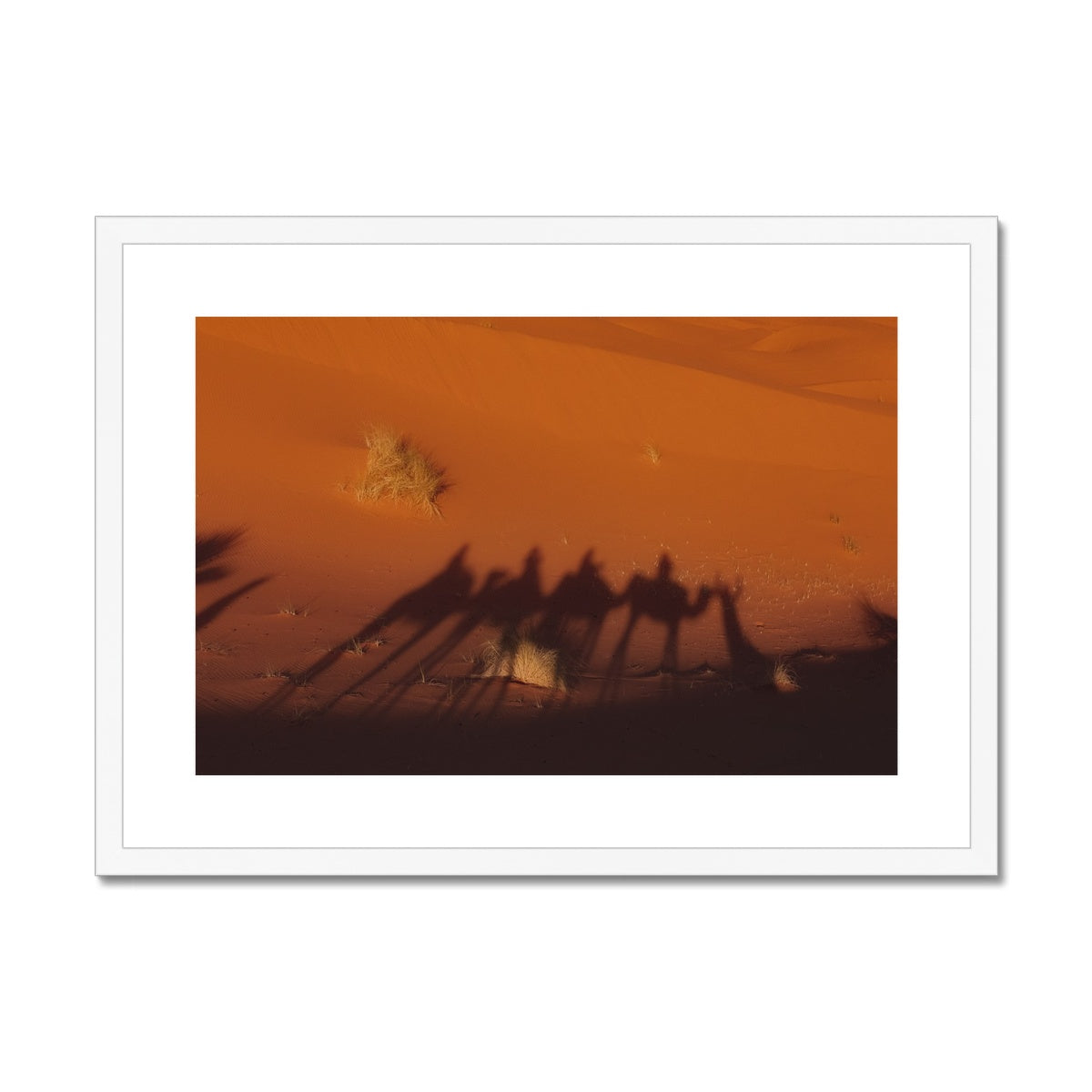 Desert Camel Caravan