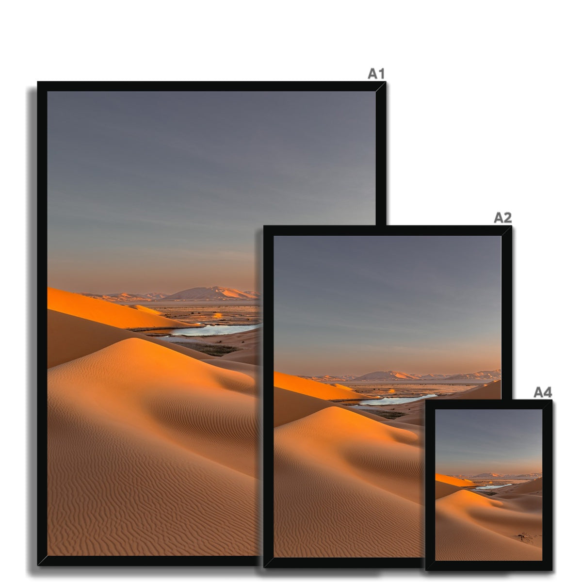 Empty Quarter | Desert Serenity I