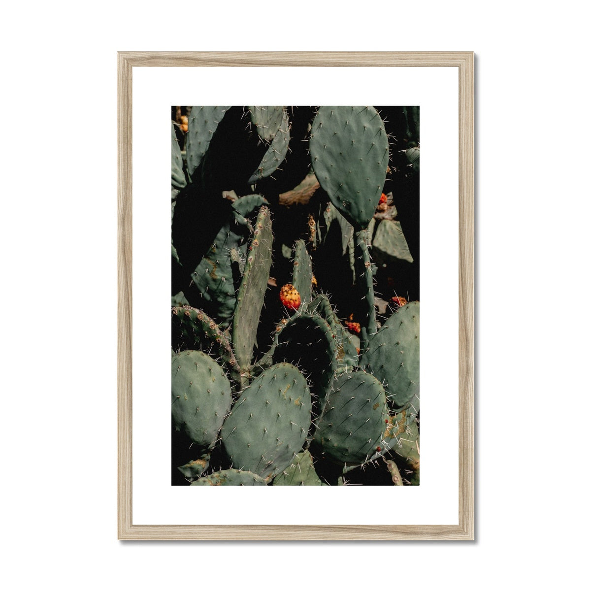 Prickle Pear