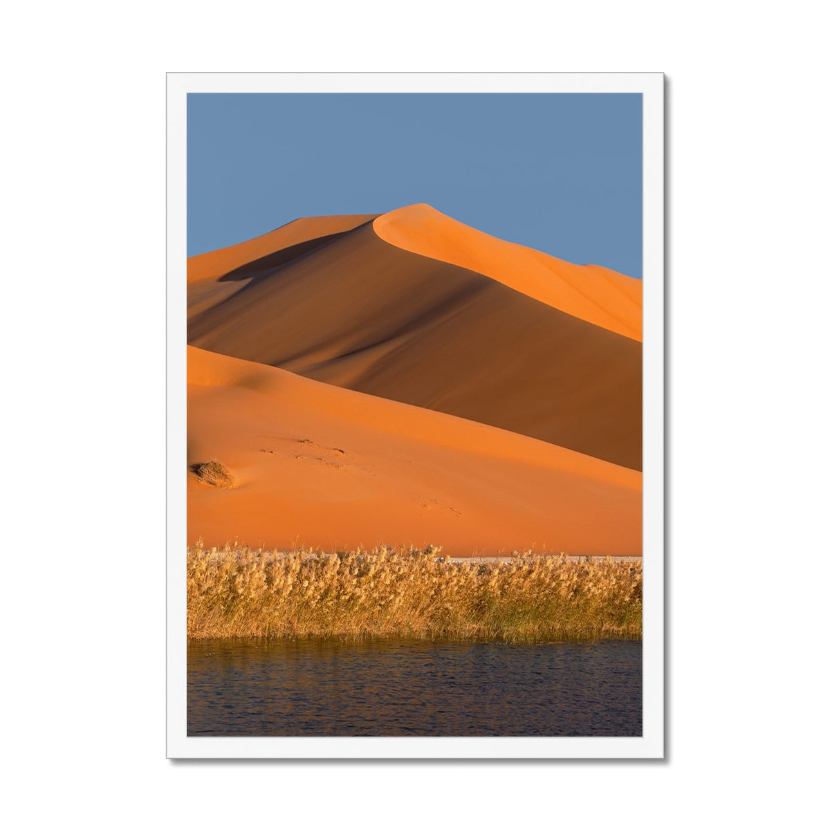 Empty Quarter | Dune Oaze