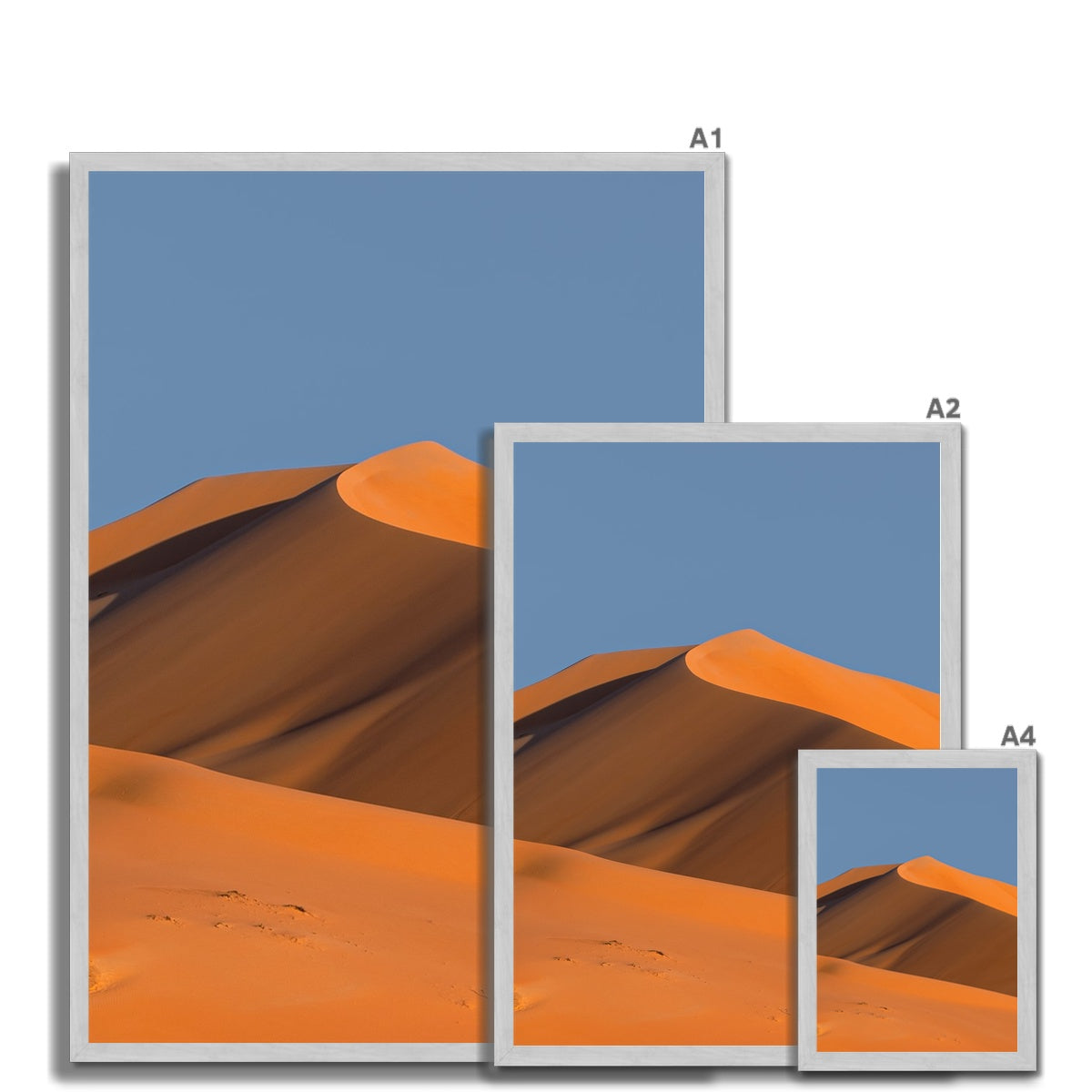 Empty Quarter | Dear Desert Dune