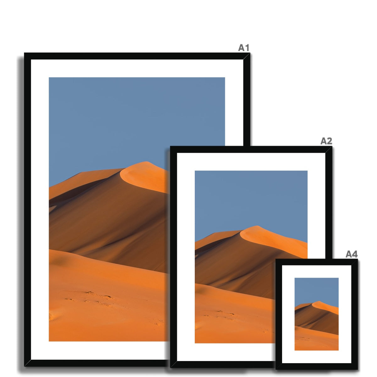 Empty Quarter | Dear Desert Dune