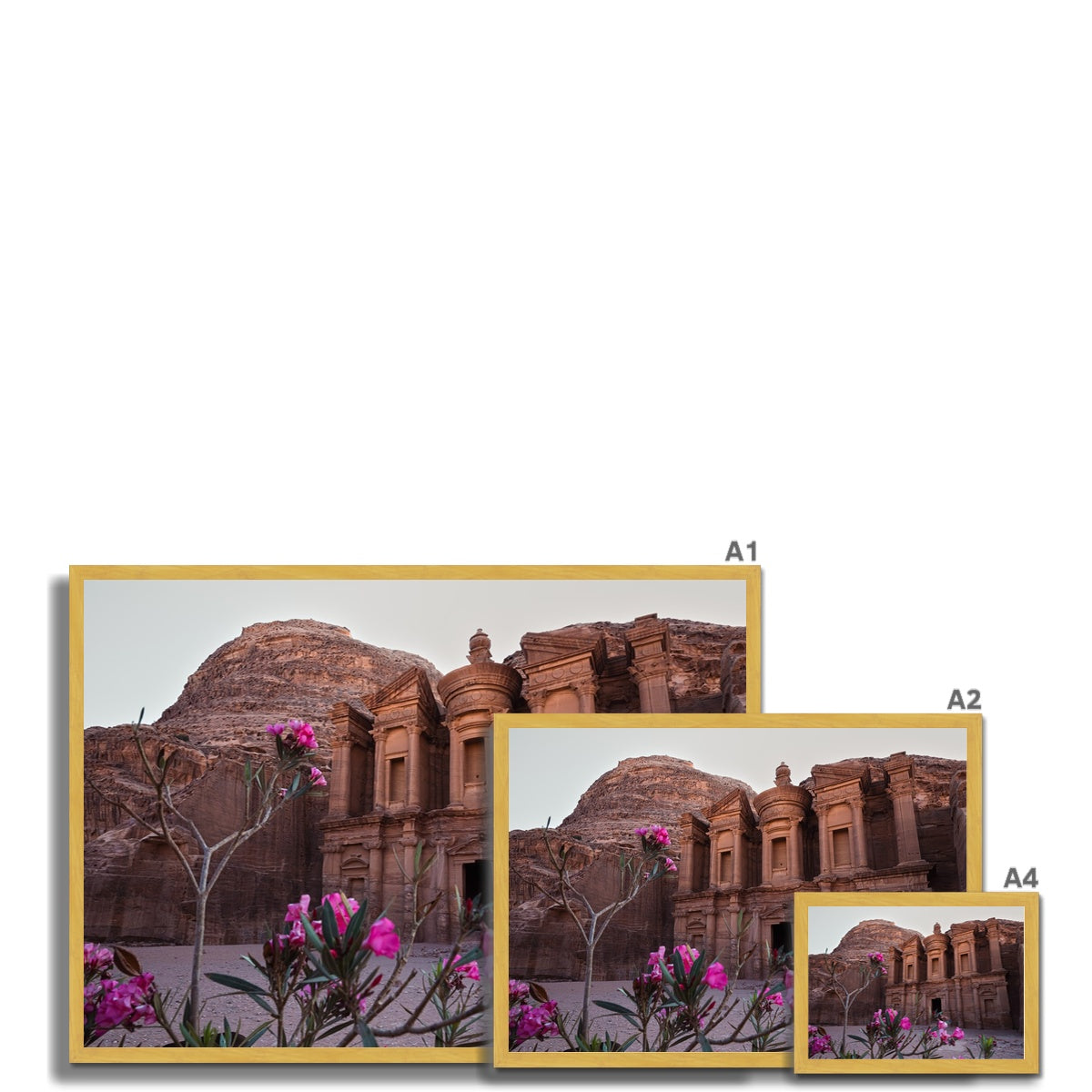 Ad Deir Bloom Petra