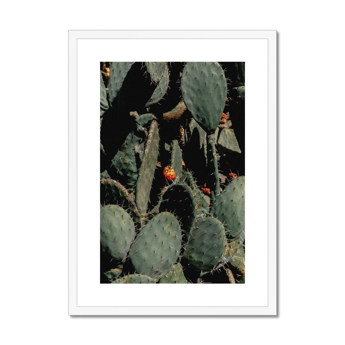 Prickle Pear