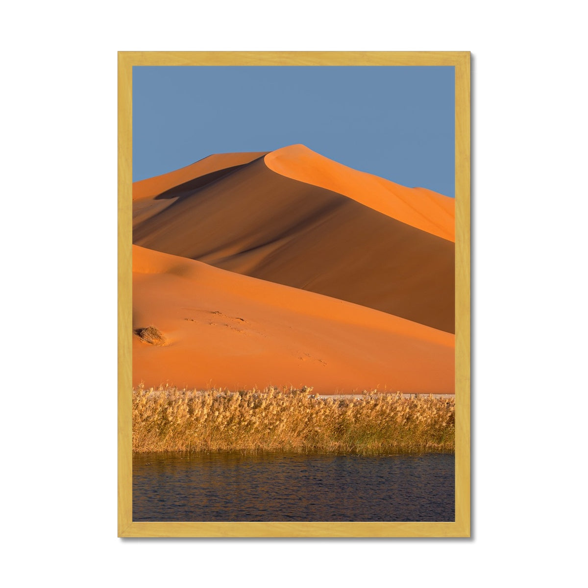 Empty Quarter | Dune Oaze