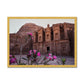 Ad Deir Bloom Petra