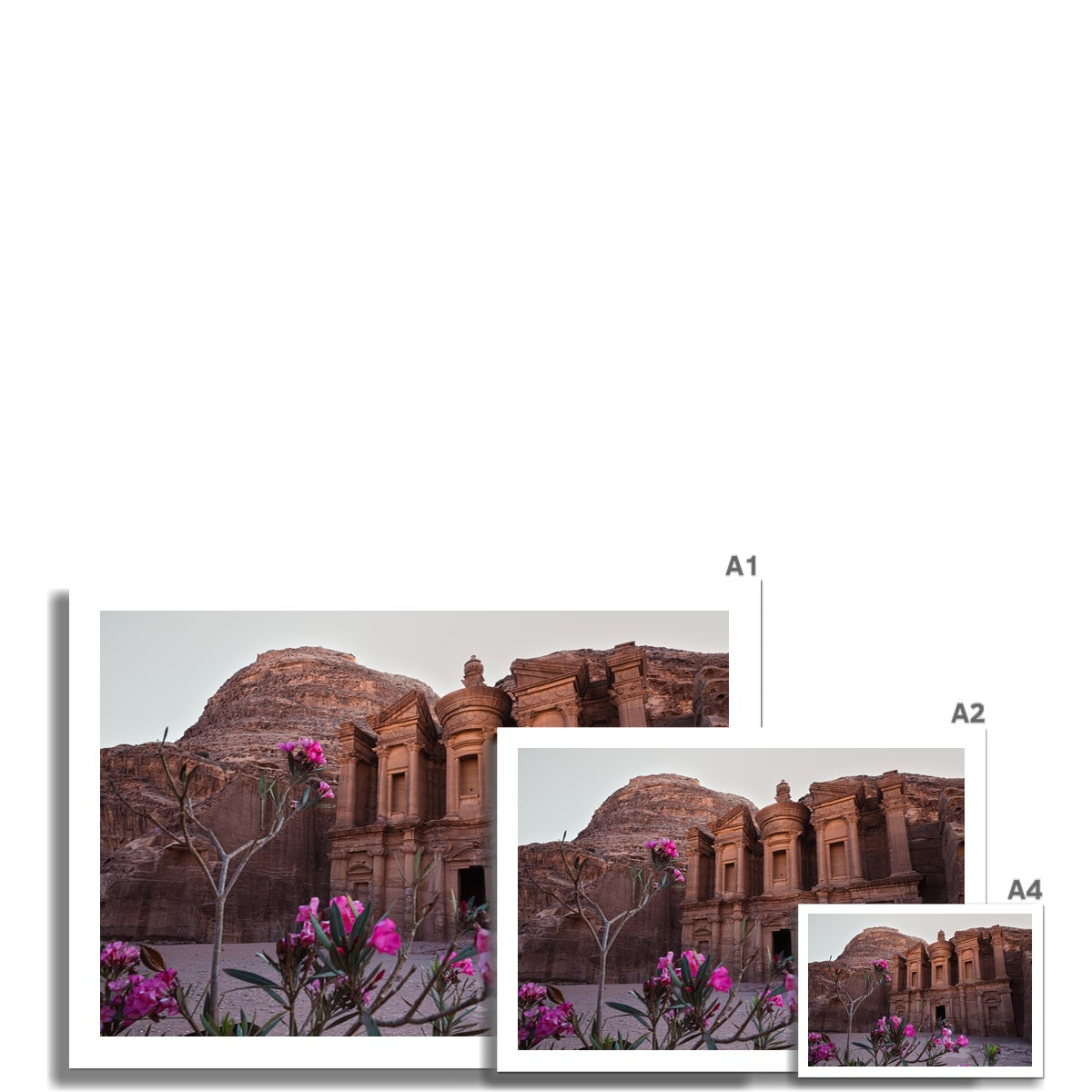 Ad Deir Bloom Petra