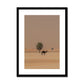 Camel Dammam Desert