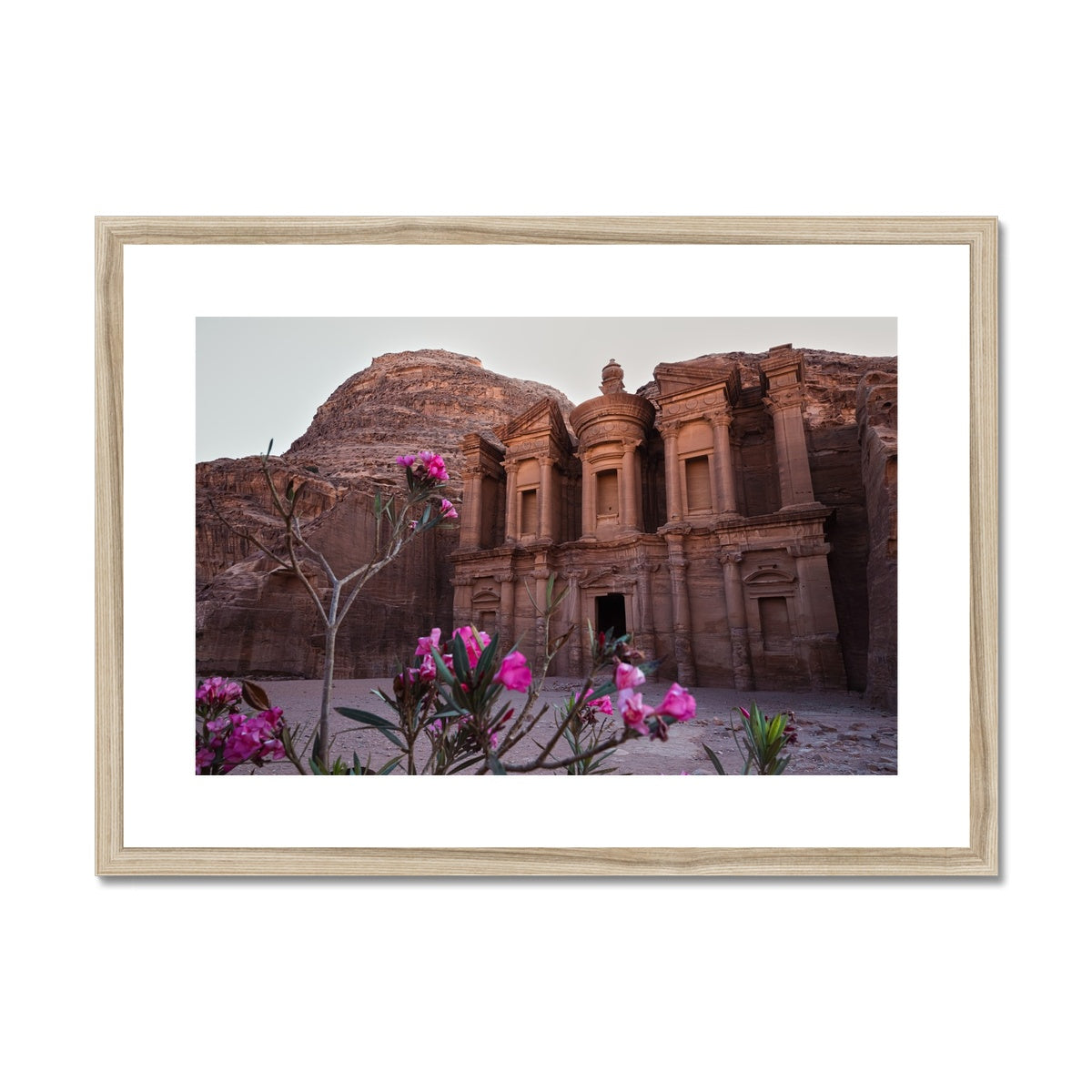 Ad Deir Bloom Petra