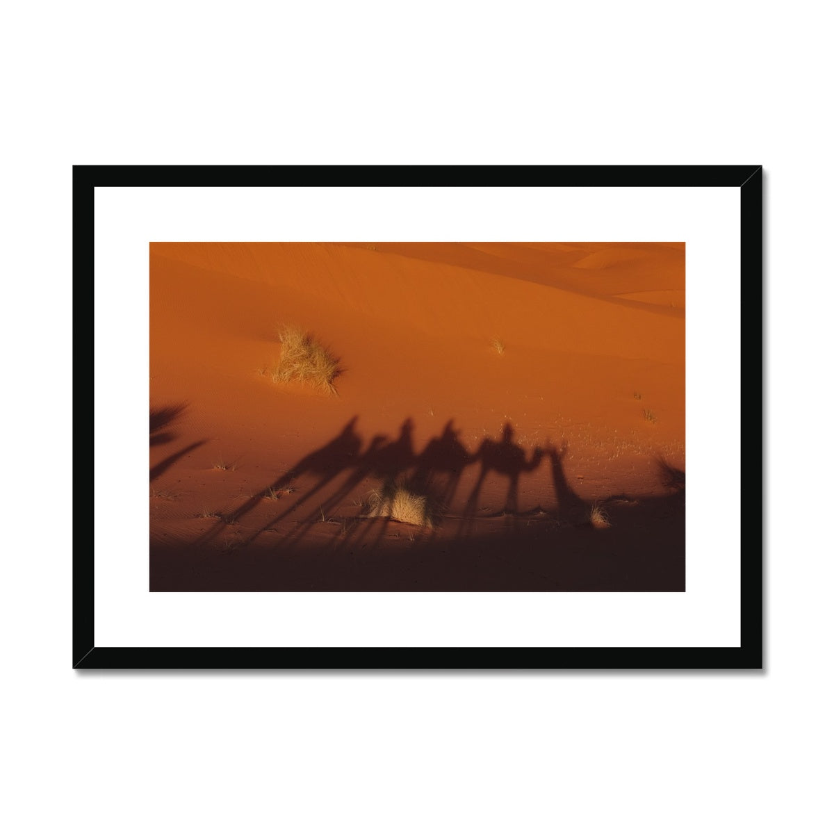 Desert Camel Caravan