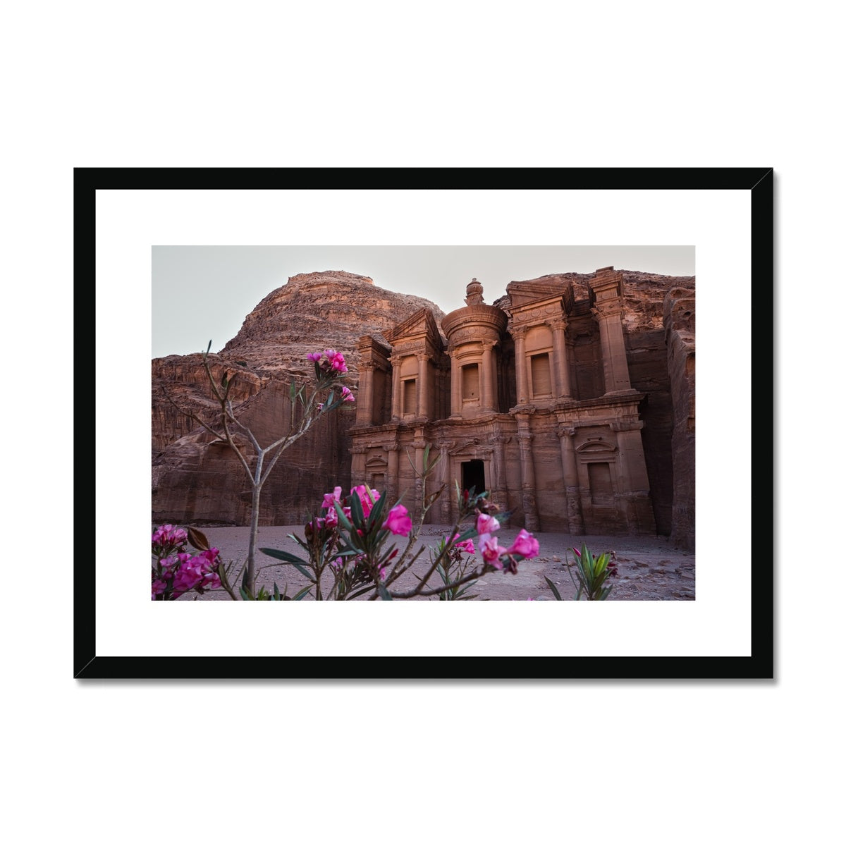 Ad Deir Bloom Petra