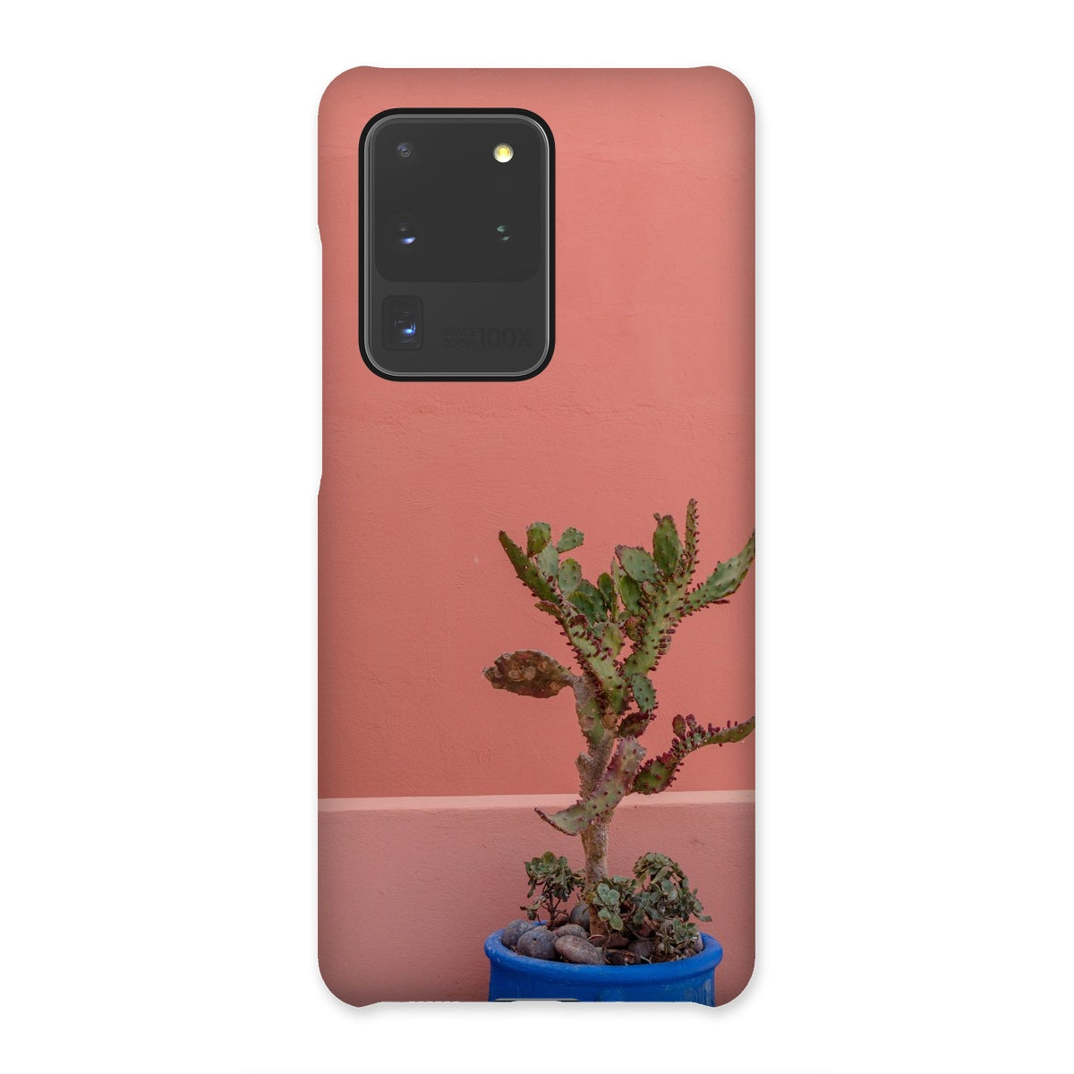 Terraesthetic Snap Phone Case