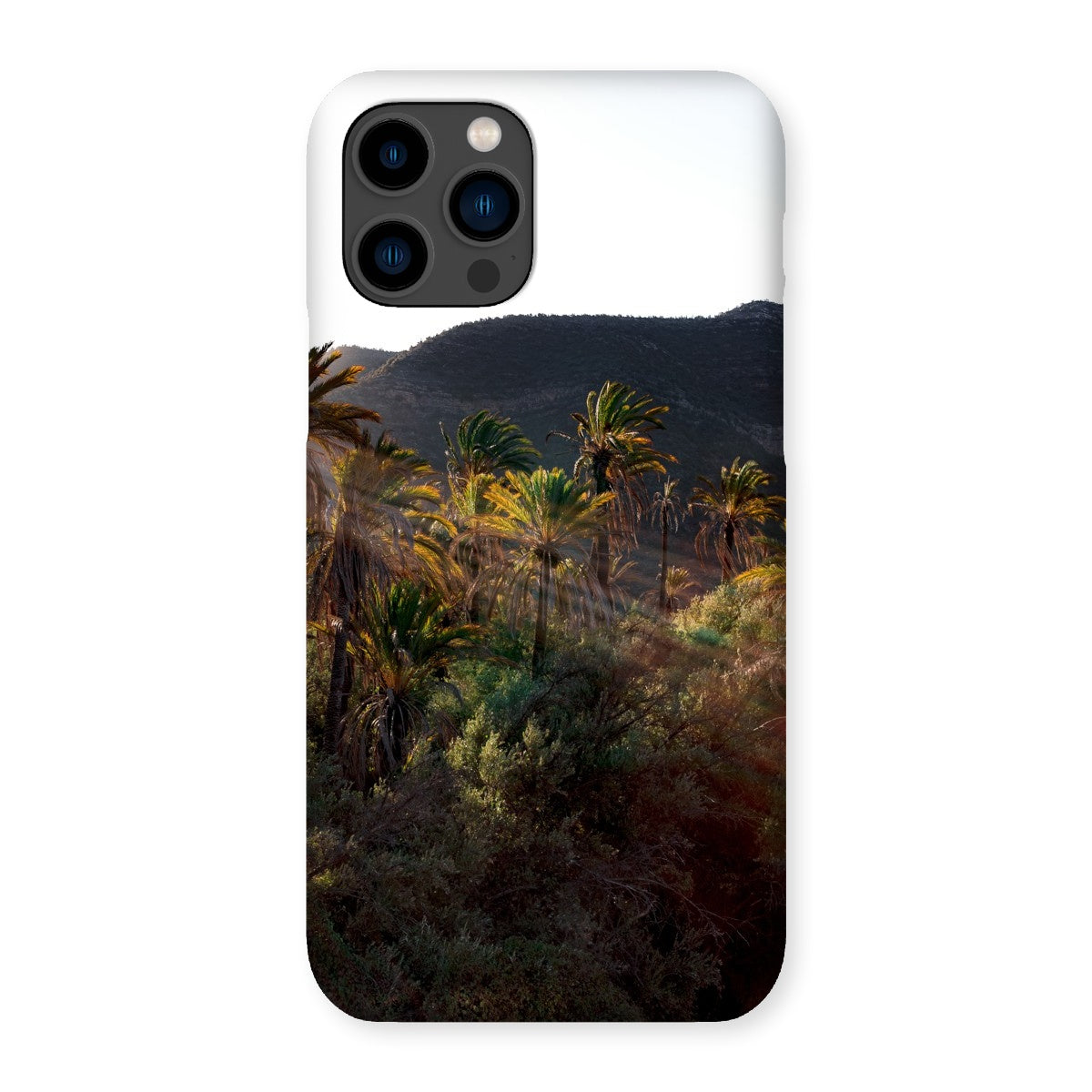 Palm Rays Snap Phone Case