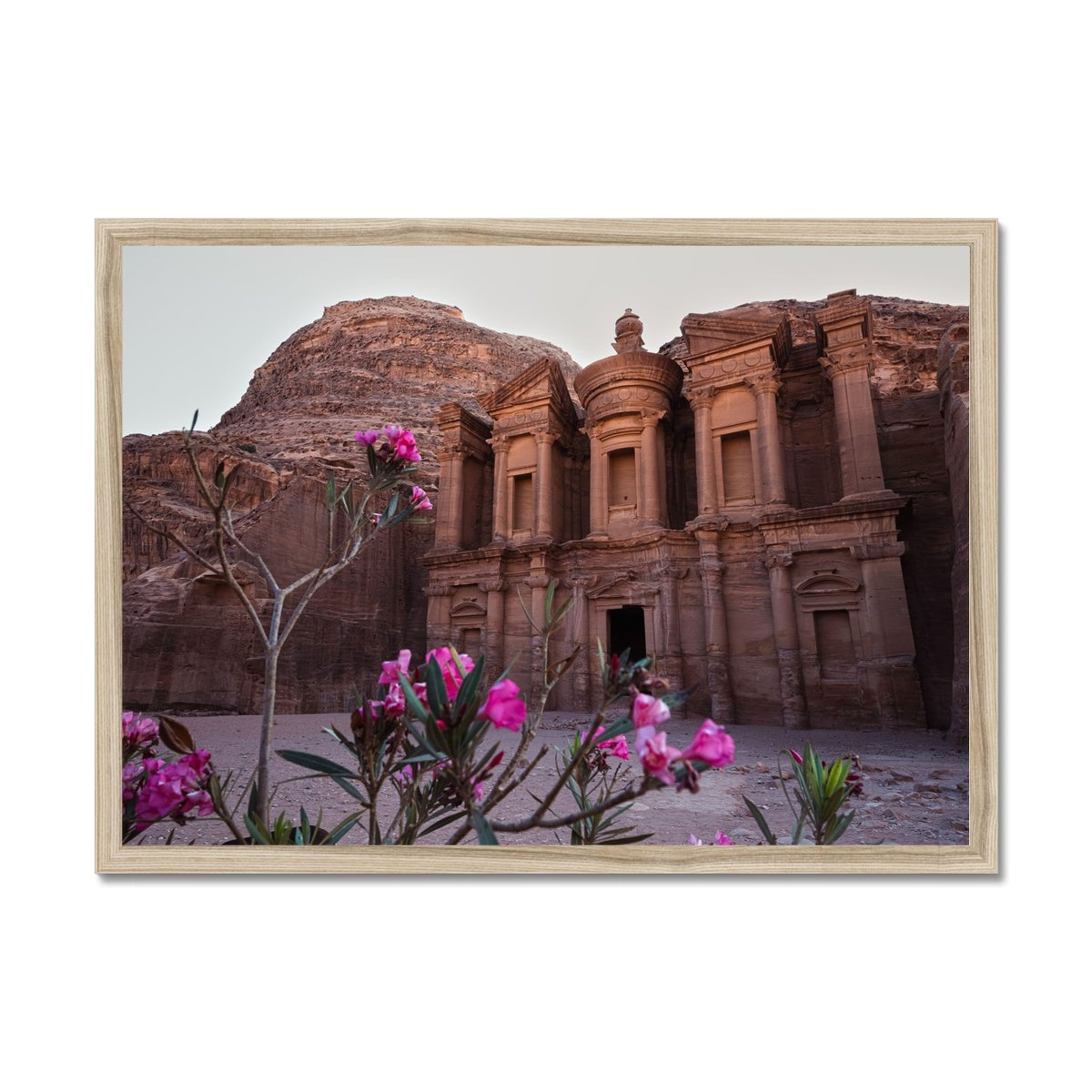 Ad Deir Bloom Petra