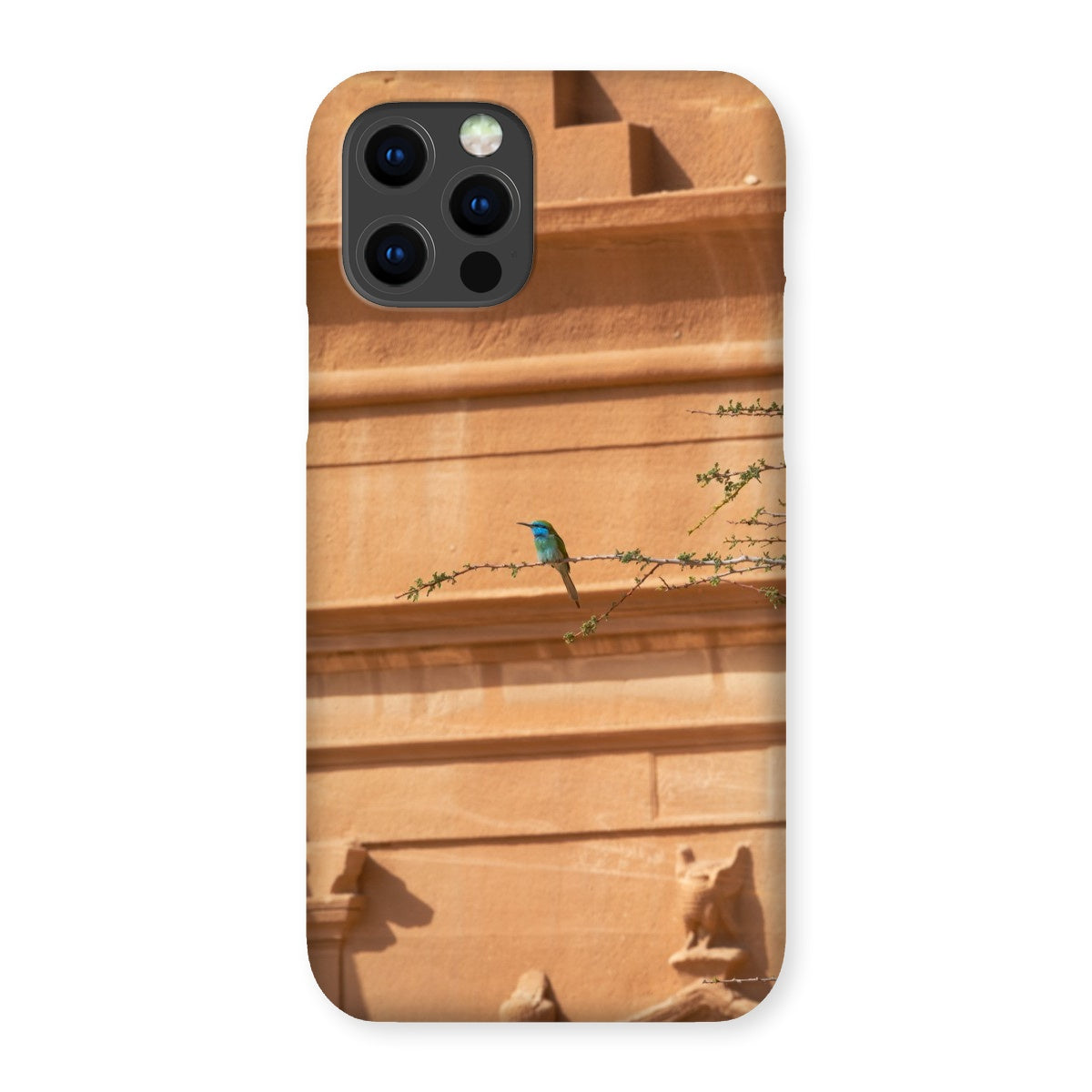 Hegra & Green Bee-Eater Snap Phone Case