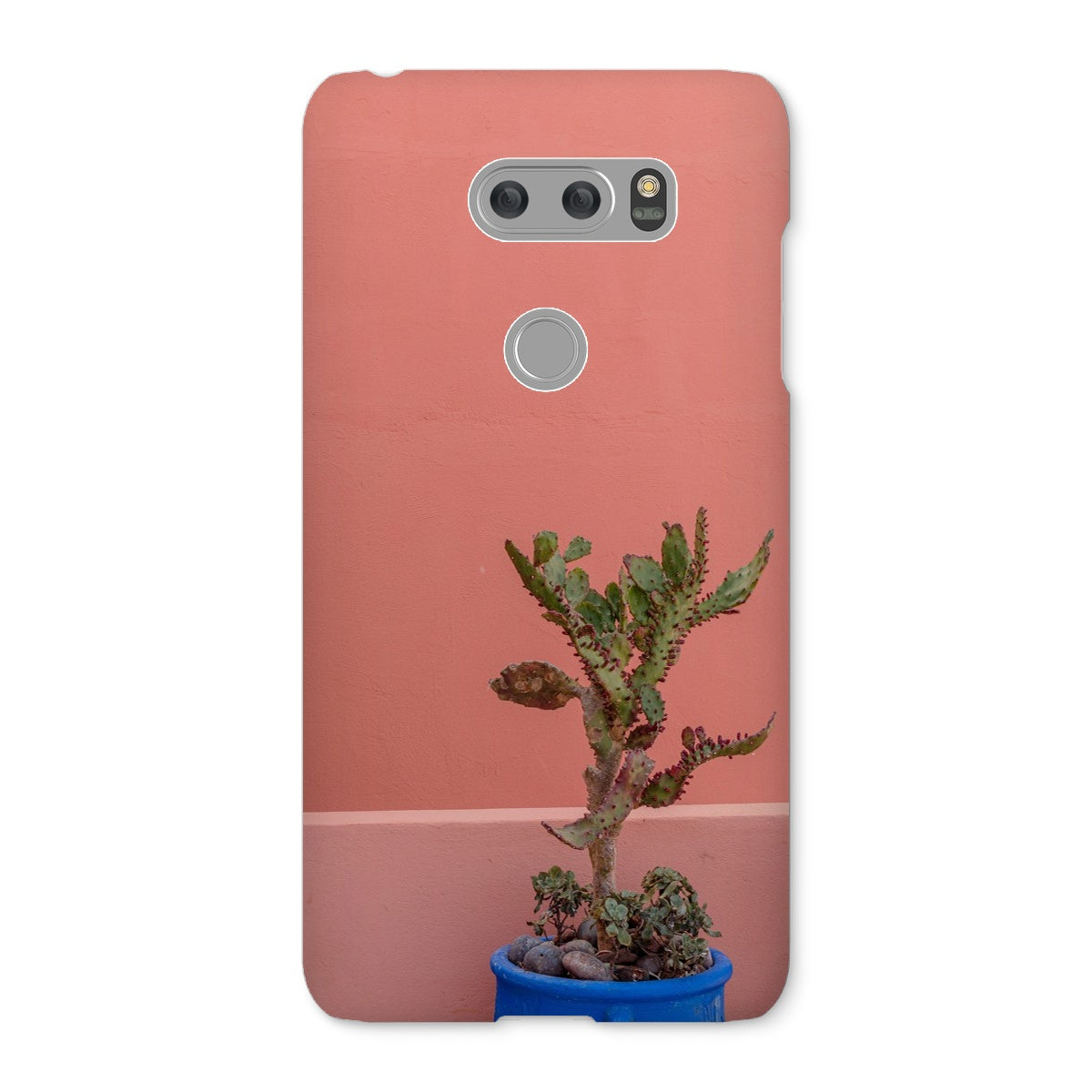 Terraesthetic Snap Phone Case