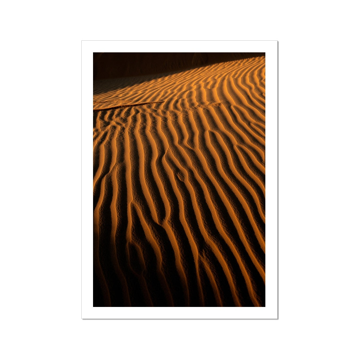 Arabian Sands | Merigolden Glow