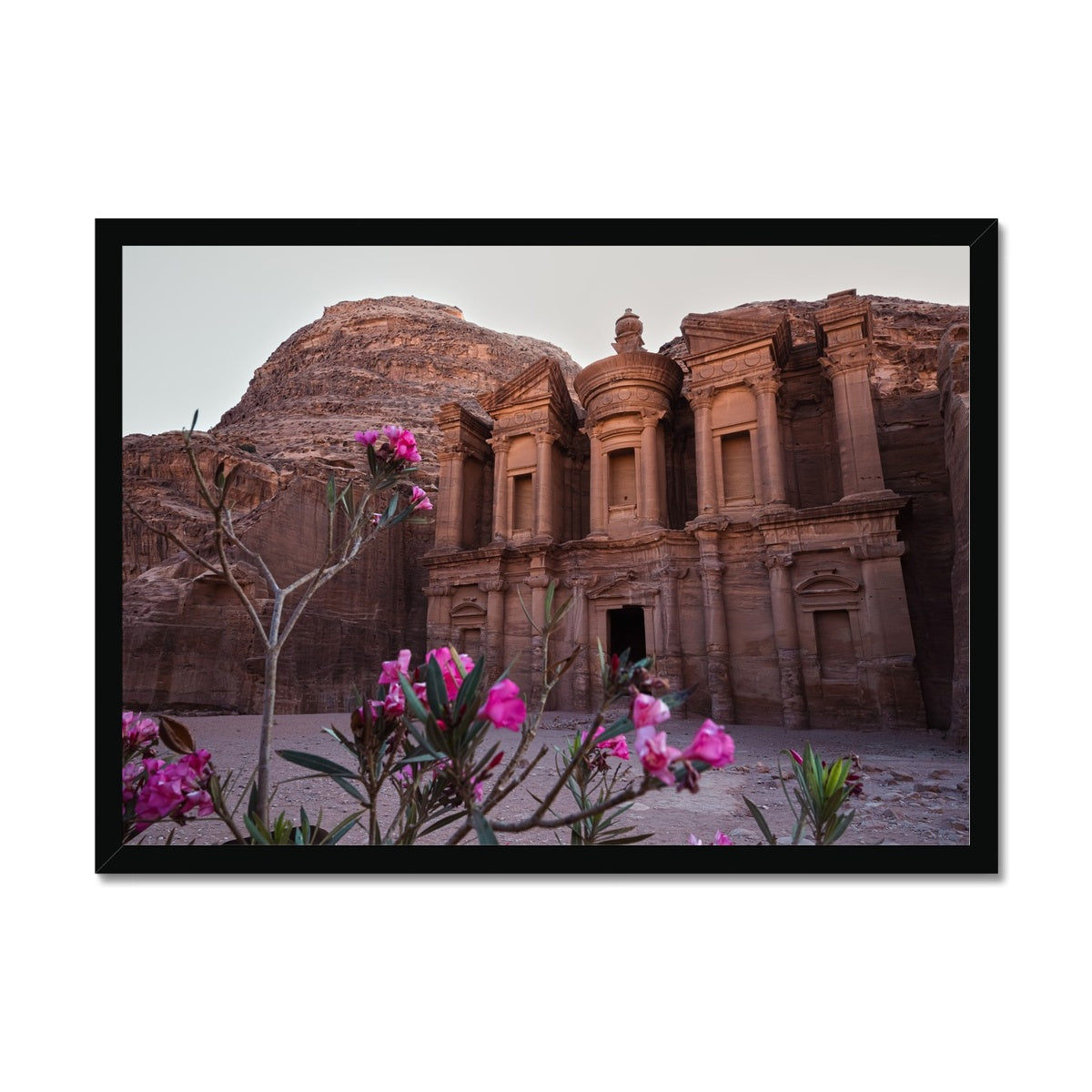 Ad Deir Bloom Petra