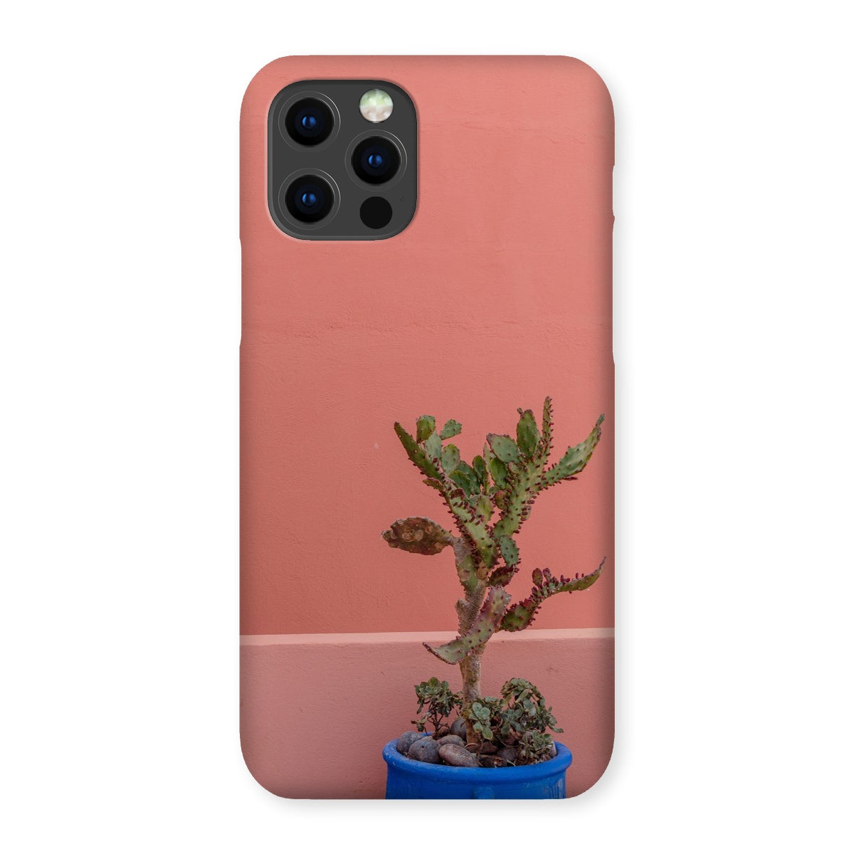 Terraesthetic Snap Phone Case