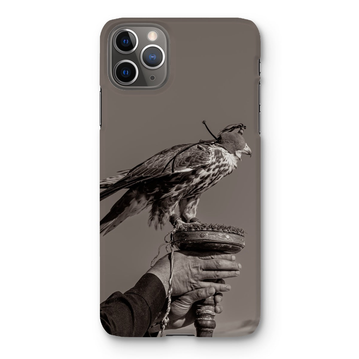 Falconry Snap Phone Case