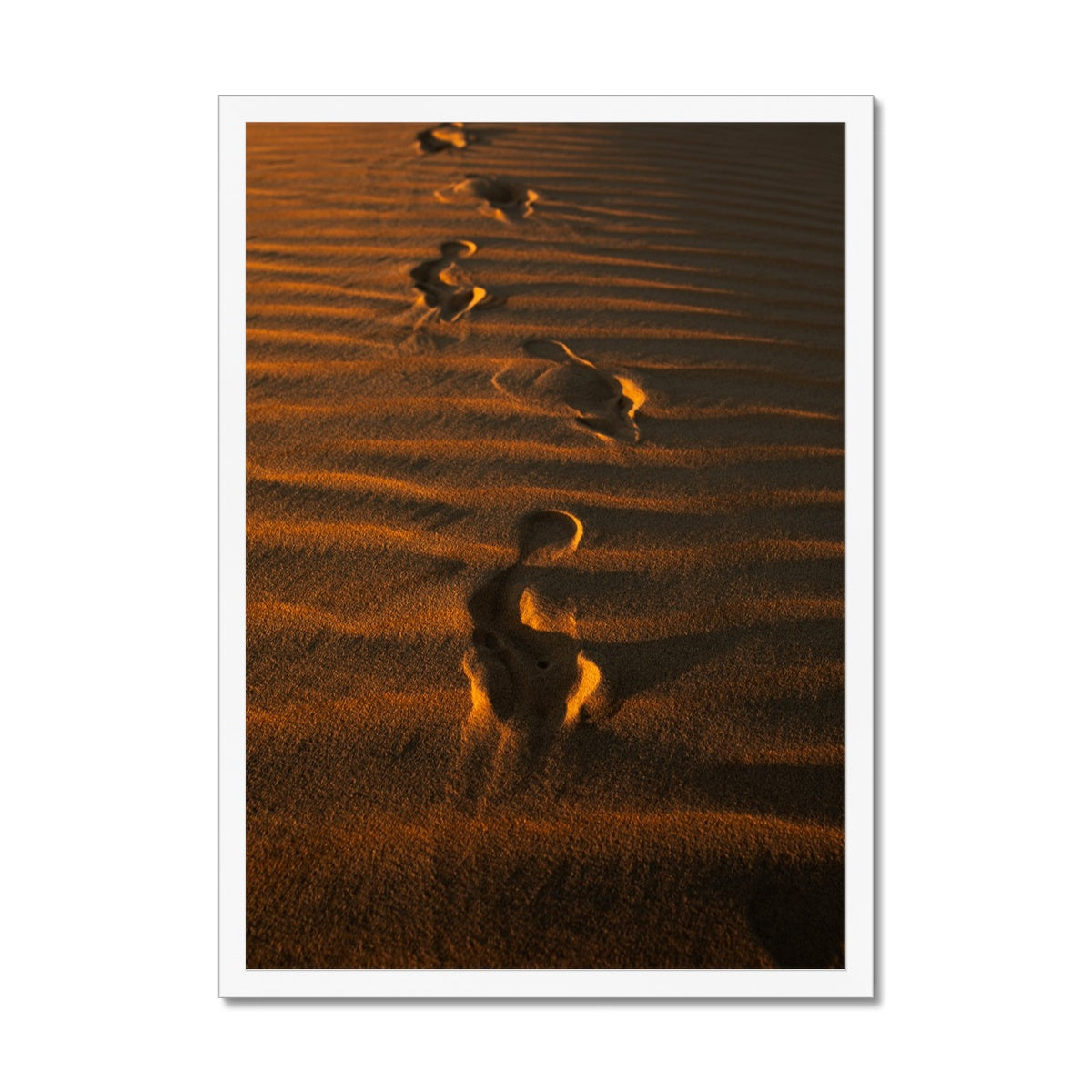 In the Footsteps of the Arabs | Empty Quarter