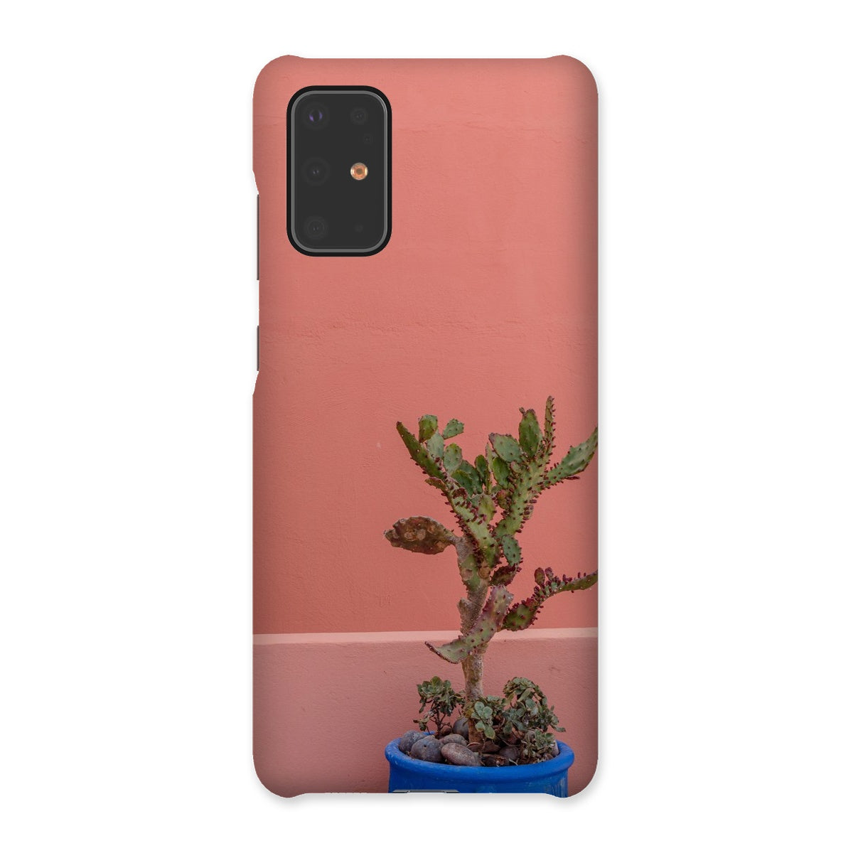 Terraesthetic Snap Phone Case