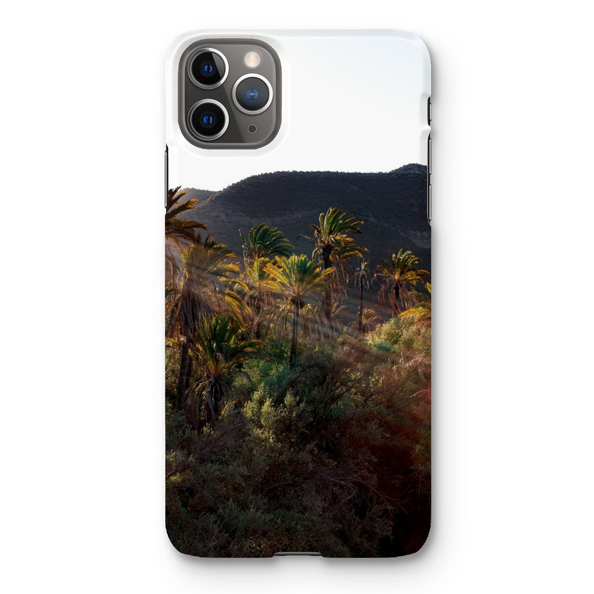 Palm Rays Snap Phone Case