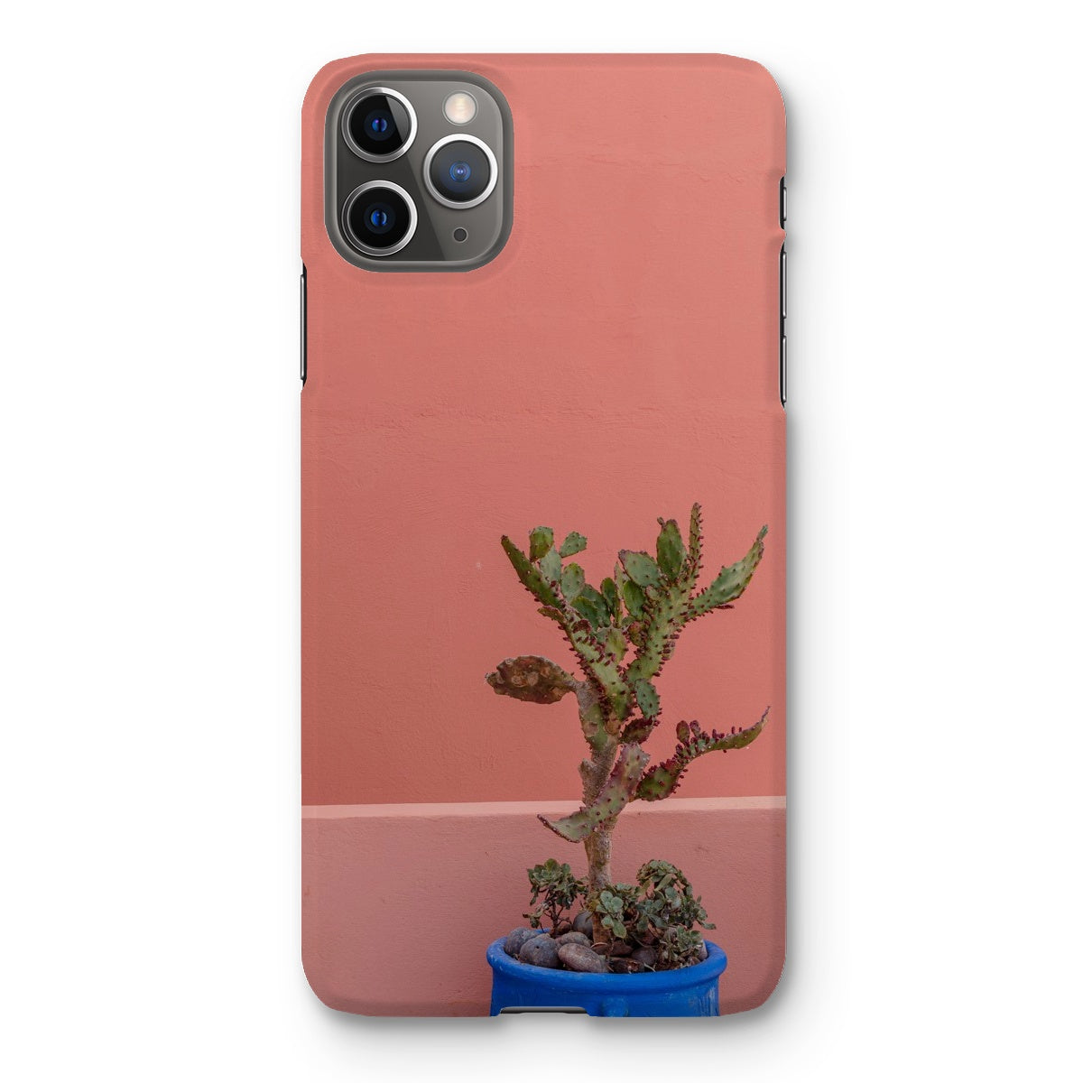 Terraesthetic Snap Phone Case