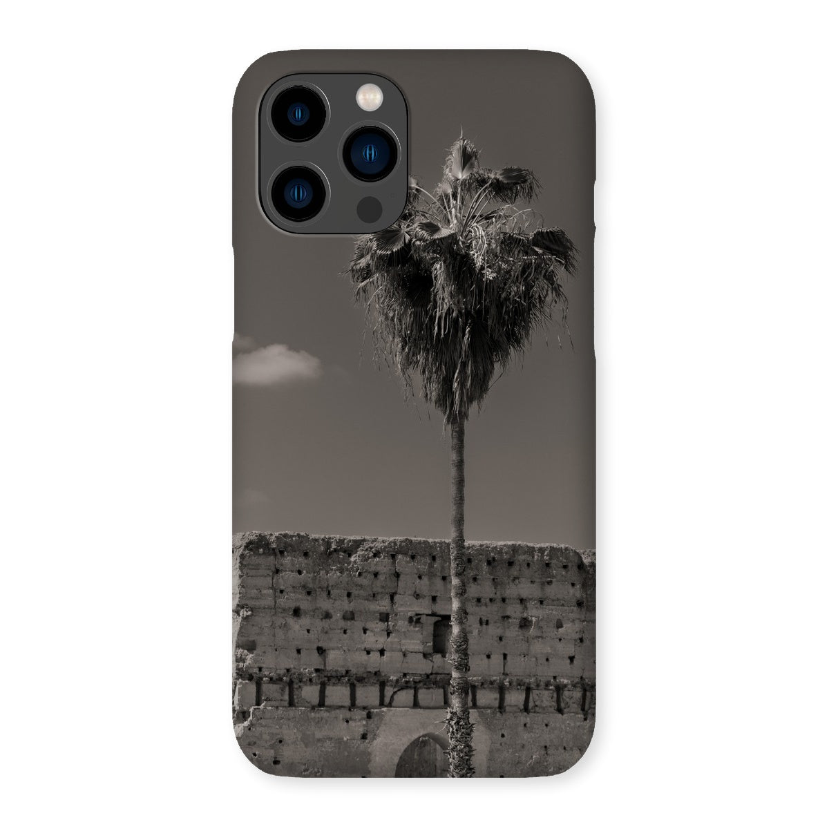 Ksar Al Badia Snap Phone Case