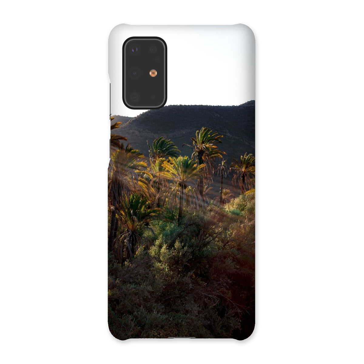 Palm Rays Snap Phone Case