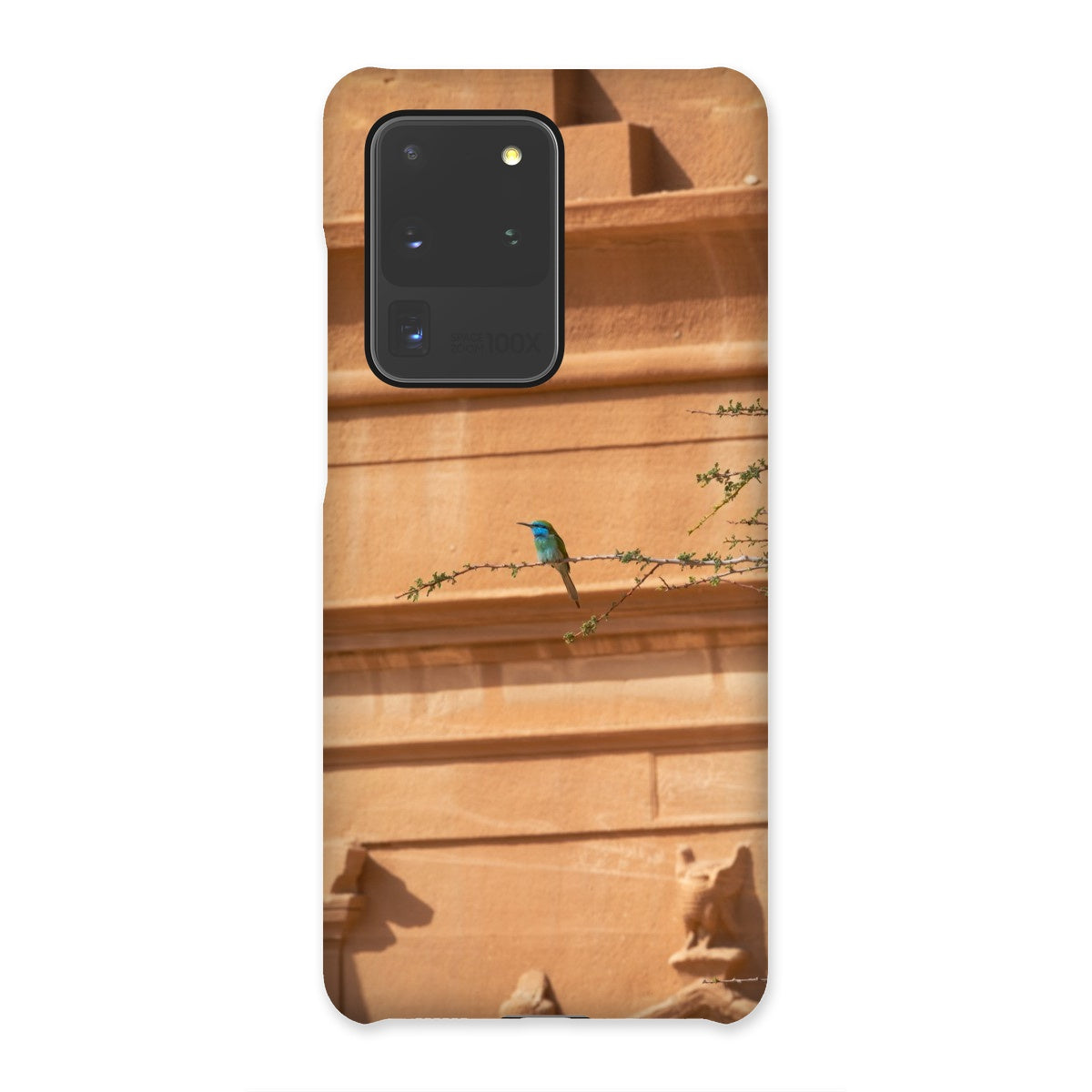 Hegra & Green Bee-Eater Snap Phone Case