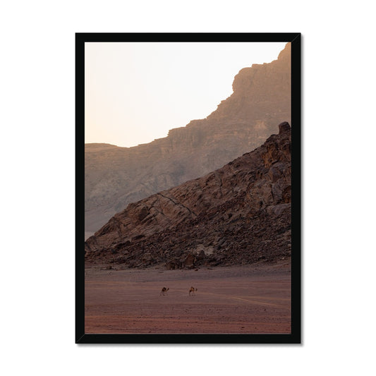 Wadi Rum Roamers