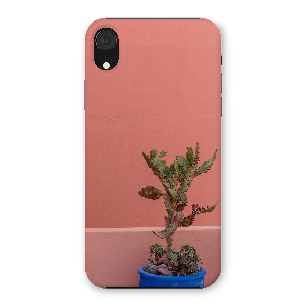 Terraesthetic Snap Phone Case