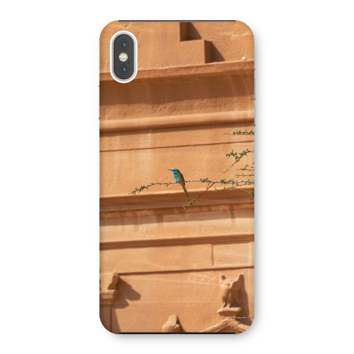 Hegra & Green Bee-Eater Snap Phone Case