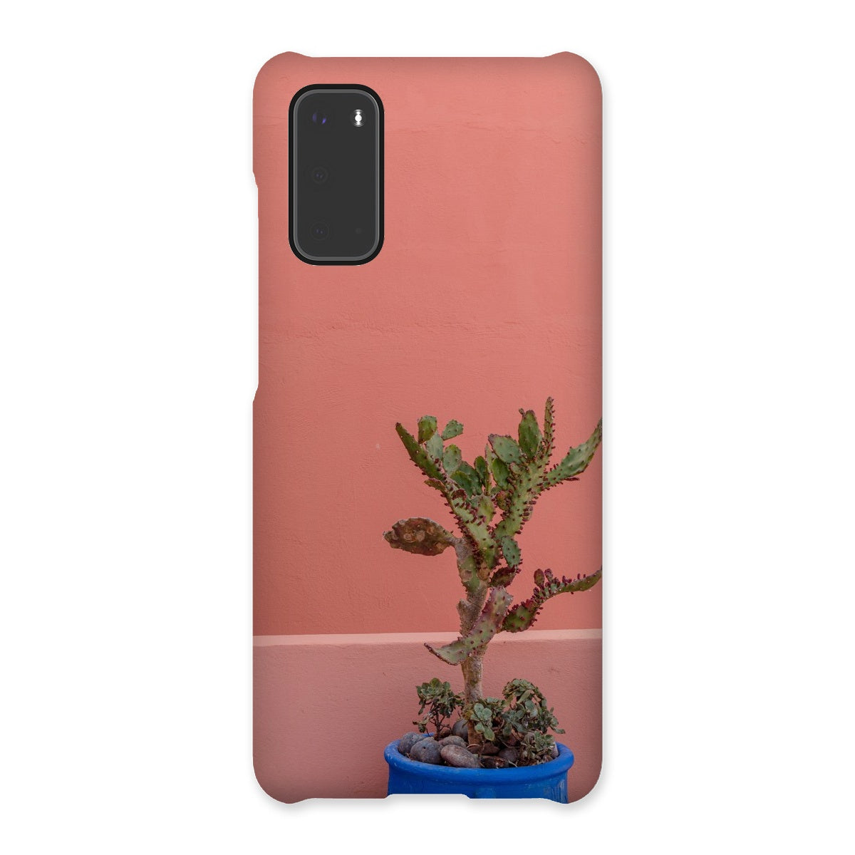 Terraesthetic Snap Phone Case