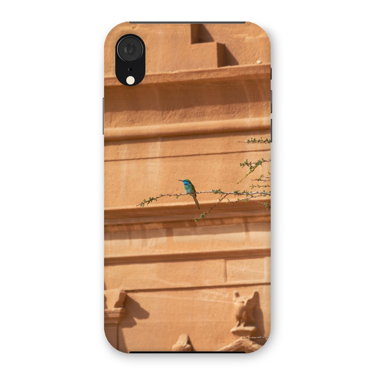 Hegra & Green Bee-Eater Snap Phone Case