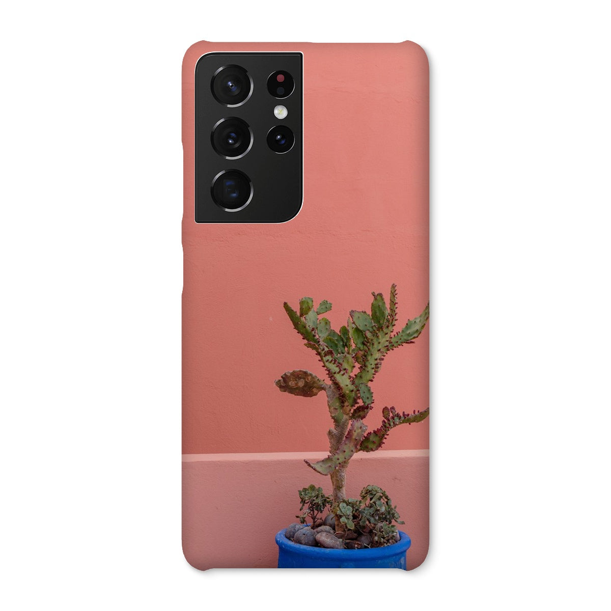 Terraesthetic Snap Phone Case