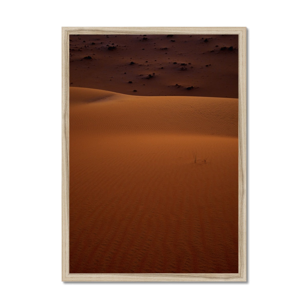 Serene | Empty Quarter