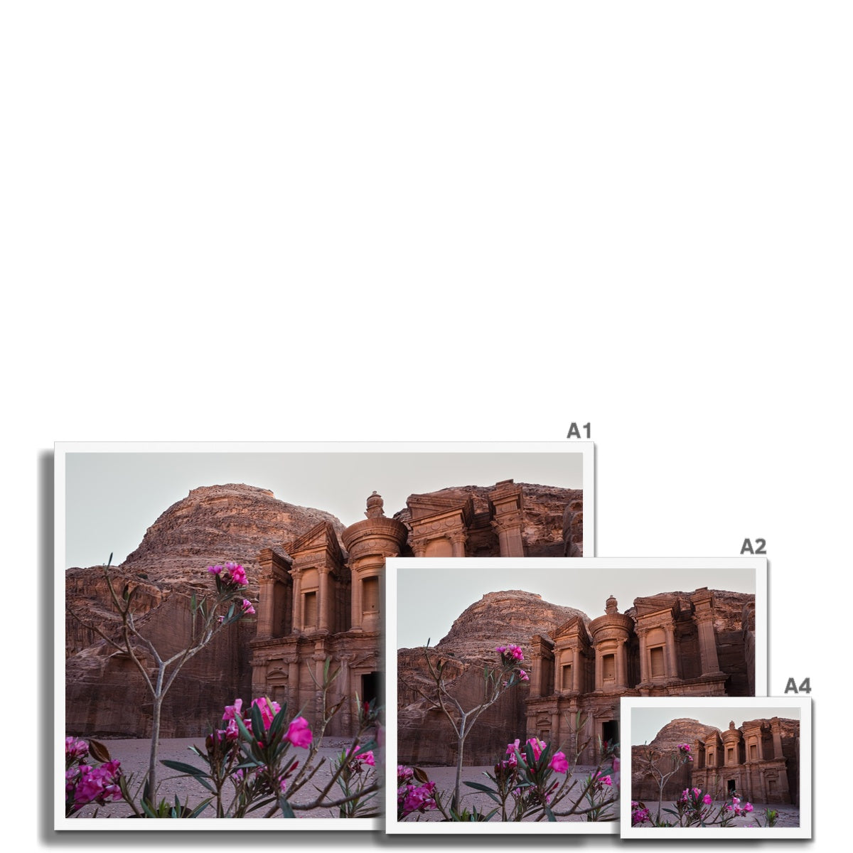 Ad Deir Bloom Petra