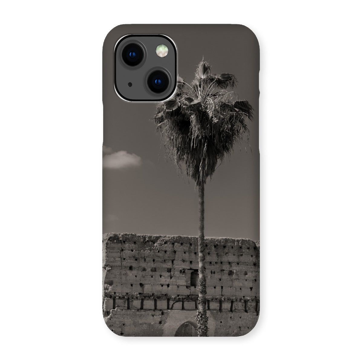 Ksar Al Badia Snap Phone Case