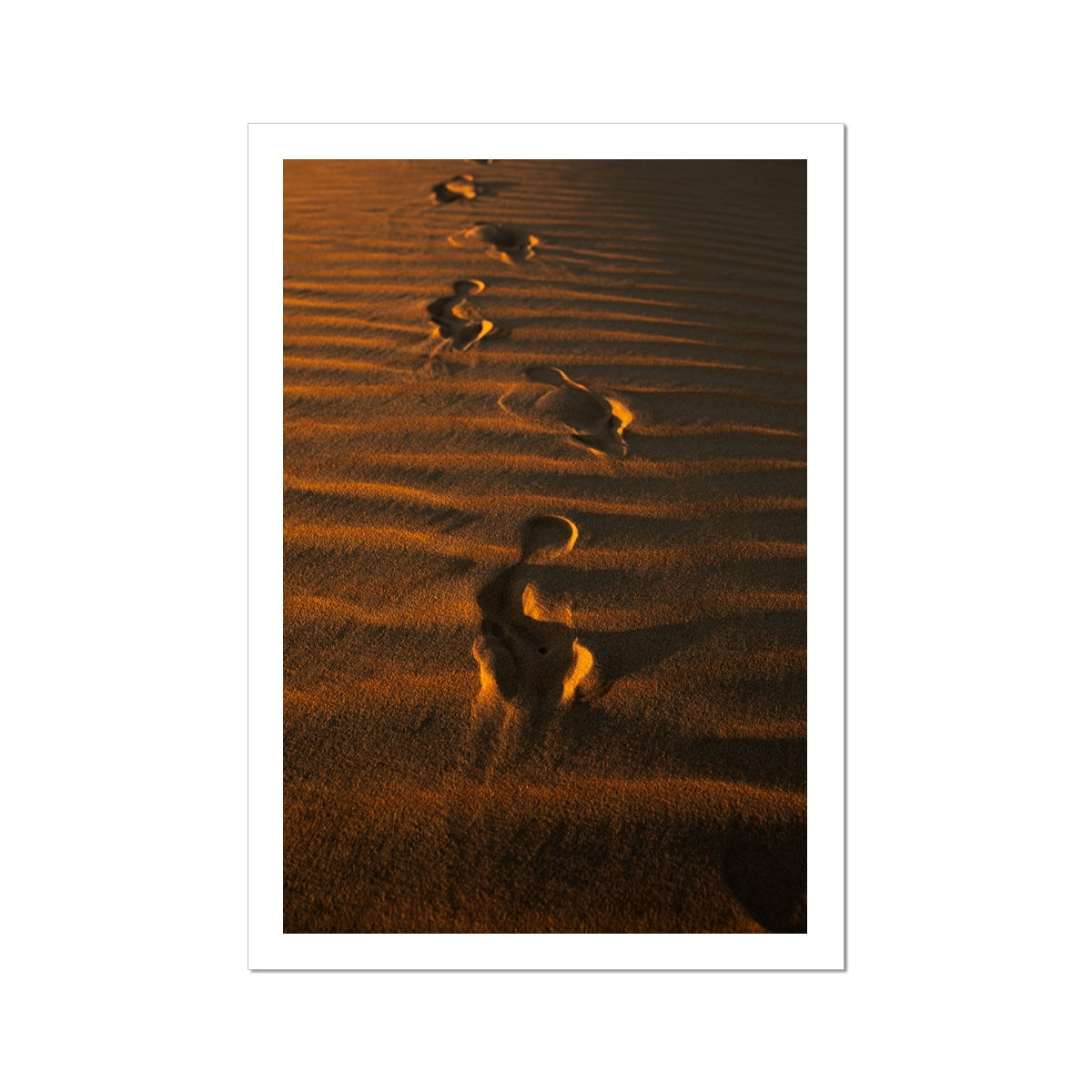 In the Footsteps of the Arabs | Empty Quarter