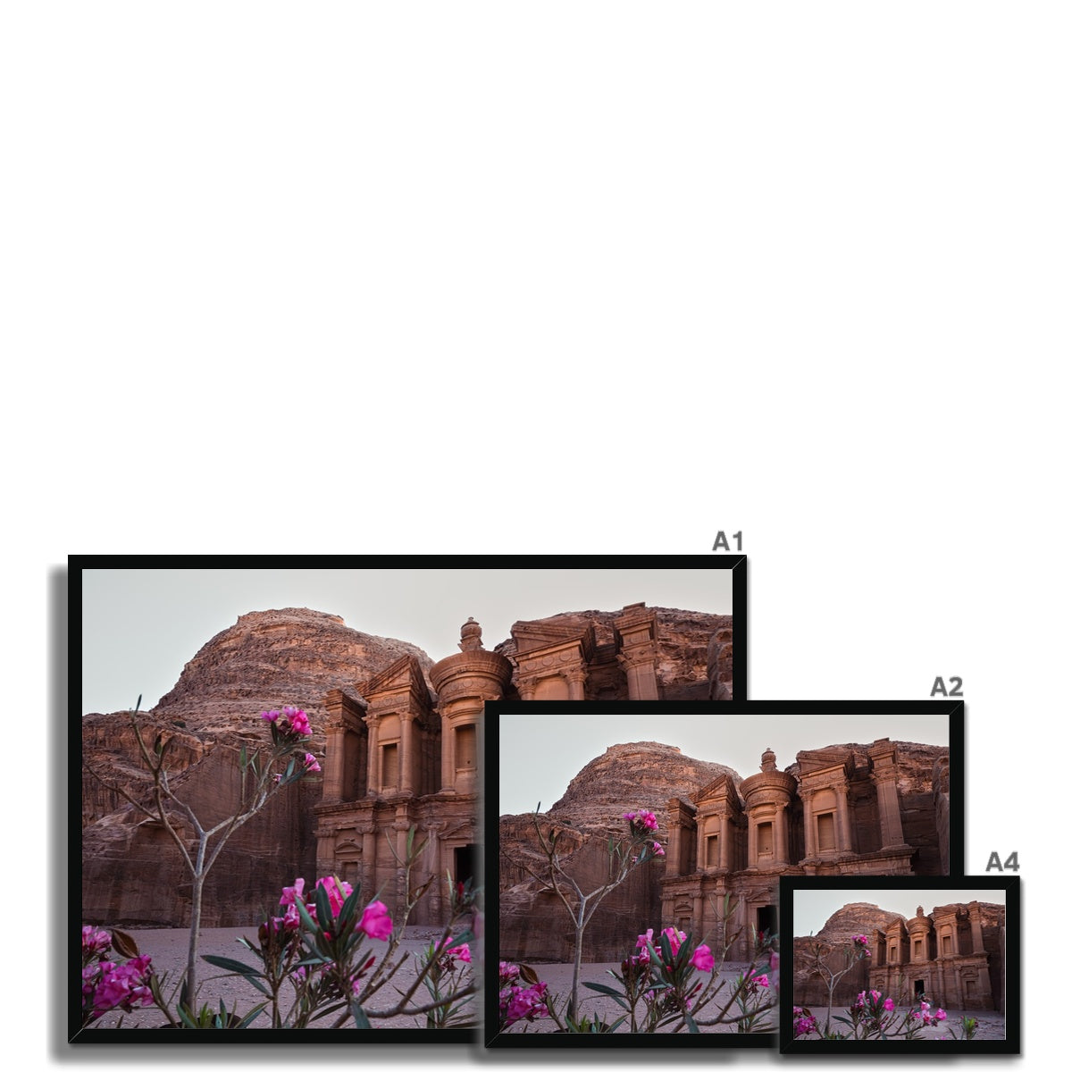 Ad Deir Bloom Petra