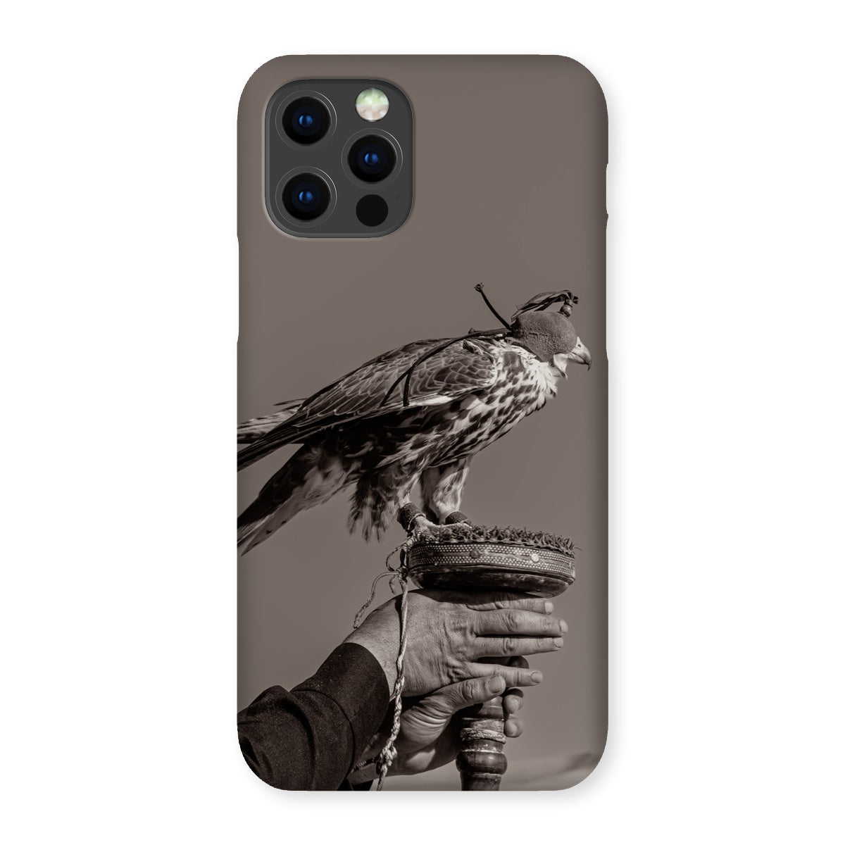 Falconry Snap Phone Case