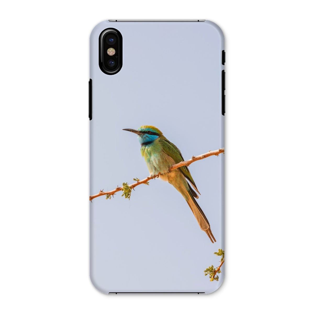 Arabian Green Bea-Eater  Snap Phone Case