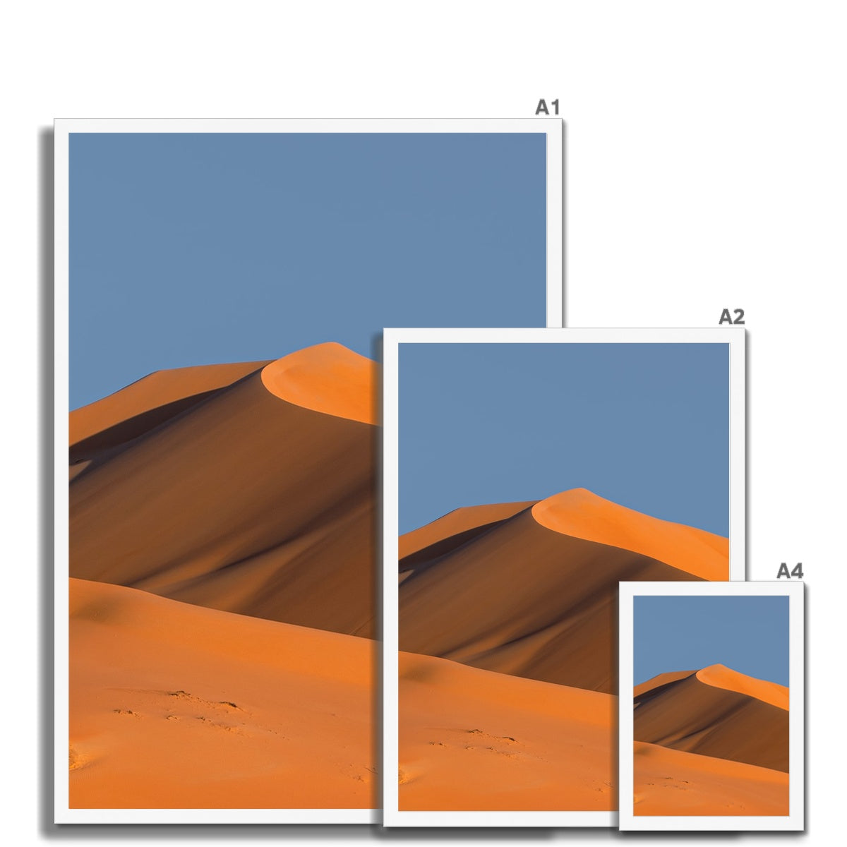 Empty Quarter | Dear Desert Dune