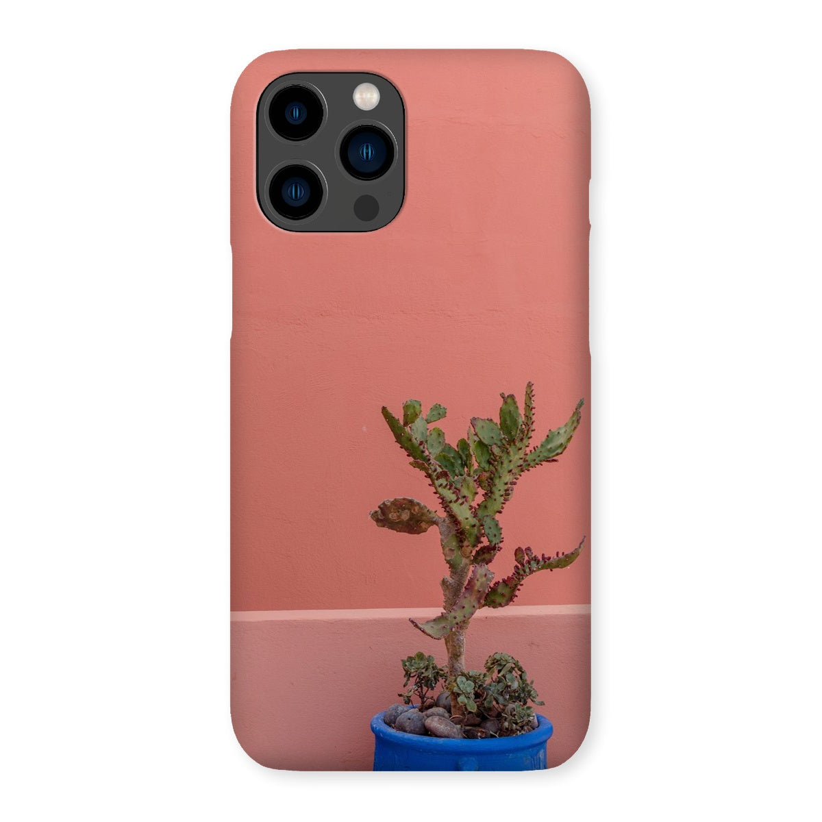 Terraesthetic Snap Phone Case