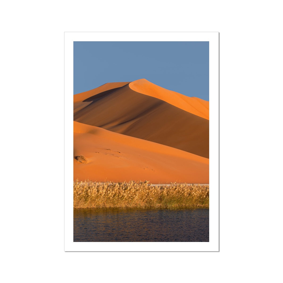 Empty Quarter | Dune Oaze