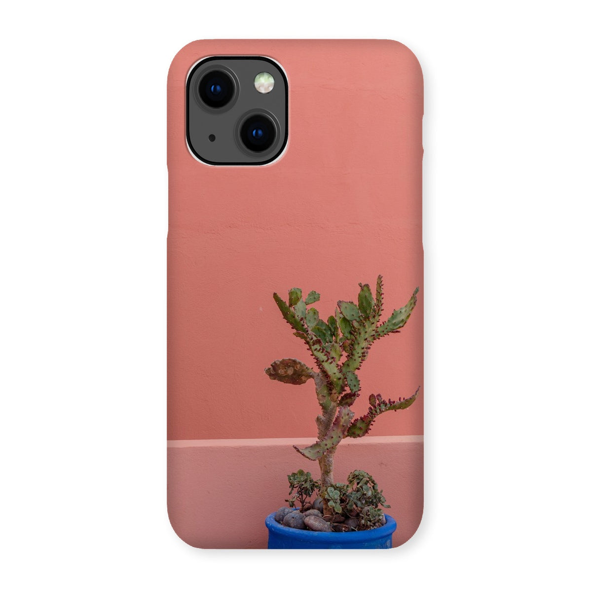 Terraesthetic Snap Phone Case